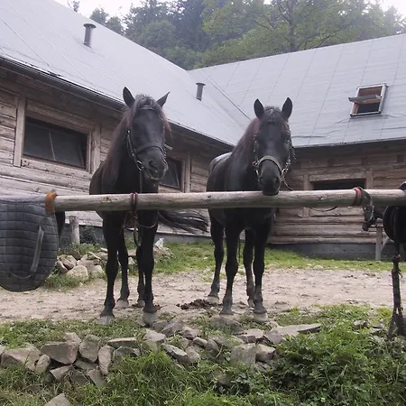Hotel Osrodek Beskid Fizjo & Korbielow