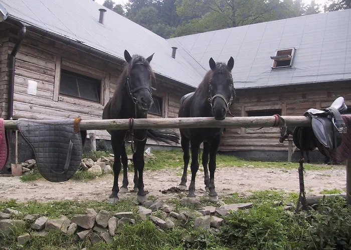 Hotel Osrodek Beskid Fizjo & Korbielow