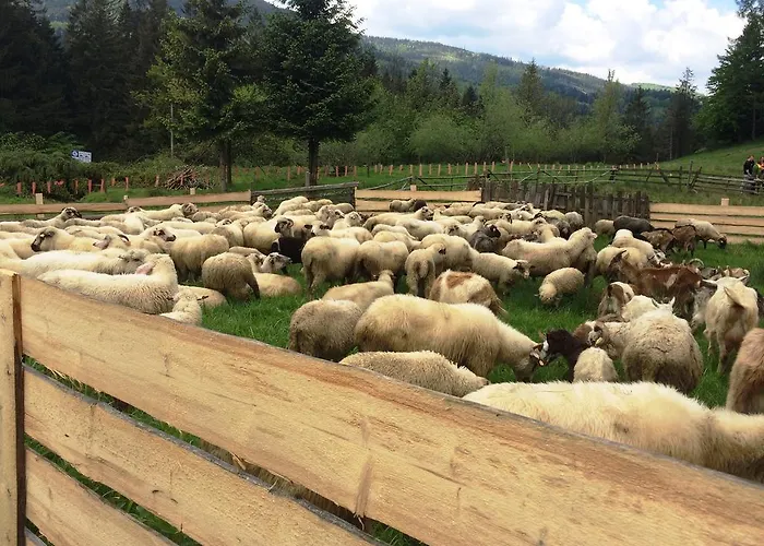 Osrodek Beskid Fizjo & 3* Korbielow